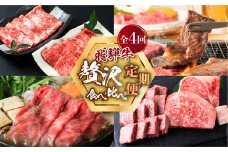  《定期便》 飛騨牛 4回 お届け 赤身 / 霜降り食べ比べ 牛肉 ( 焼肉 / すき焼き / ステーキ / しゃぶしゃぶ ) 肉 霜降り肉 赤身肉 セット 食べ比べ 和牛 国産牛 100000円 [S091_re]