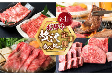  《定期便》 飛騨牛 4回 お届け 赤身 / 霜降り食べ比べ 牛肉 ( 焼肉 / すき焼き / ステーキ / しゃぶしゃぶ ) 肉 霜降り肉 赤身肉 セット 食べ比べ 和牛 国産牛 100000円 [S091_re]
