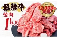 訳あり 飛騨牛 焼肉用 切り落とし肉 1kg 25000円 訳アリ 焼き肉用 切り落とし 切落し 牛肉 肉 バーベキュー BBQ セット 和牛 焼肉 部位おまかせ ごちそう 贅沢飛騨牛  JA ひだ 大容量 人気 おすすめ アウトドア  国産 冷凍  駆け込み前の お申込なら すぐ届く すぐ届きやすい [S201]