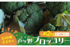 R7年産 先行予約 朝採れ 戸ヶ野ブロッコリー 3～6株 10月下旬～発送開始  5000円 [S737]
