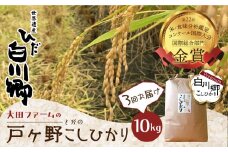 《先行予約》定期便 3回 令和5年産 新米 白川郷 戸ヶ野のこしひかりプレミアム 10kg 3回お届け お米 大田ファーム [S440]