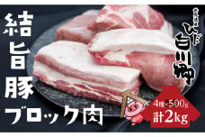 白川郷 結旨豚 ブロック肉 4種セット 計2kg 豚肉 ぶた肉 国産肉 抗生物質 合成抗菌剤不使用 真空パック かたまり肉 肉 バーベキュー BBQ キャンプ ステーキ ロース 肩ロース バラ肉 もも肉 食べ比べ [S225]