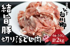 結旨豚 切り落とし 500g×4パック 計2kg  [S226]
