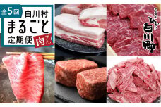 白川郷 まるごと定期便 全5回 お届け 肉づくし ローススライス 結旨豚 ブロック肉 飛騨牛ブロック肉 焼肉用 もも肉 切り落とし 5種類 100000円 10万円 定期便 飛騨牛 豚肉 国産 牛 豚 焼肉 しゃぶしゃぶ [S249]