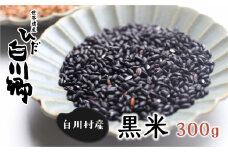 白川郷の古代米 黒米 300g 1袋 もち米 玄米[S263]