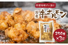 白川郷 自家製 牛ホルモン 250g×3袋セット 牛肉 国産牛ホルモン 味付け肉 味噌味 焼肉店 オリジナル 簡単 おつまみ 冷凍 味付き 白川村 てんから アウトドア BBQ 11000円  [S289]