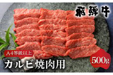 飛騨牛 カルビ（肩バラ肉）焼肉用 500g 高山米穀  [S335]