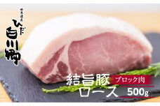 結旨豚ロース ブロック肉 500g 塊肉 ローストポーク ステーキ トンカツ かつ 肉 豚肉 国産 ブランド豚 キャンプ 白川郷 焼き肉 バーベキュー BBQ キャンプ てんから 6000円 岐阜県 白川村 [S322]