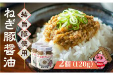 白川郷 結旨豚使用 ねぎ豚醤油 2個 ご飯のお供 国産豚 飛騨ねぎ 調味料 おにぎりの具 具材 白川村 8000円 [S303]