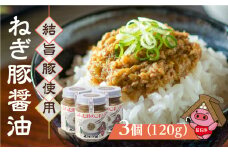 白川郷 結旨豚使用 ねぎ豚醤油 3個 ご飯のお供 国産豚 飛騨ねぎ 調味料 おにぎりの具 具材 白川村 11000円 [S304]