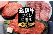 飛騨牛 定期便 3回お届け 白川郷 ももステーキ180g×2枚 焼肉用 肩バラ肉 上カルビ 300g カルビ 500g 食べ比べ 牛肉 国産 焼き肉 希少部位 A4等級以上 A4 A5 等級 高山米穀 岐阜県 白川村 贅沢 冷凍 45000円 [S358]