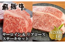 白川郷 飛騨牛 サーロインステーキ 200g×1枚 リブロースステーキ 200g×1枚 計400g 食べ比べ セット 牛肉 和牛 ステーキ 国産 肉 霜降り サーロイン A4等級以上 A4 A5 贅沢 冷凍 27000円 [S376]