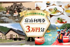 トヨタ白川郷自然學校 ホテル 宿泊利用券 3万円分 宿泊券 宿泊 白川村 30000円分 チケット 旅行券 世界遺産 岐阜県 観光 体験 白川村 温泉 寄附金額 100000円 [S367]