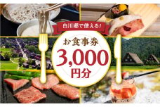 白川村 共通お食事券 3千円分 チケット 岐阜 白川郷 世界遺産 観光 旅行 食事券 結旨豚 飛騨牛 定食 そば 飛騨 ディナー ランチ［ S398 ］