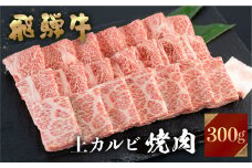 飛騨牛 焼肉用 上カルビ 300g 焼き肉 焼肉 お中元 お歳暮 霜降り 肉 牛肉 霜降り肉 JA 飛騨 BBQ バーベキュー お歳暮 ギフト 和牛 12000円 [S445]