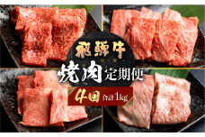 飛騨牛 定期便 4回 焼肉 食べ比べ 250g×4回 焼き肉 牛肉 もも ロース バラ 肩ロース 毎月お届け バーベキュー BBQ JAひだ 40000円 [S401]