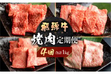 飛騨牛 定期便 4回 焼肉 食べ比べ 250g×4回 焼き肉 牛肉 もも ロース バラ 肩ロース 毎月お届け バーベキュー BBQ JAひだ 40000円 [S401]