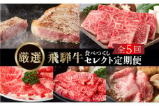 《定期便5回》飛騨牛食べつくし厳選セレクト 5か月 焼肉 サーロイン肩ロース ロース モモ すき焼き しゃぶしゃぶ 食べ比べ 牛肉 国産 焼き肉 赤身 だるまミート 岐阜県 白川村 贅沢 冷凍 95000円 [S407]