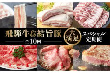 《定期便10回》飛騨牛＆結旨豚　食べきりタイプ スペシャル定期便 10か月 焼肉 サーロイン ロース モモ すき焼き しゃぶしゃぶ 牛肉 豚肉 国産 焼き肉 赤身 豚肉 バラ ブランド豚 だるまミート 岐阜県 白川村 贅沢 冷凍 145000円 [S409]
