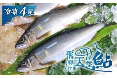 白川村産 飛騨庄川の天然鮎 4尾 18cm以上 鮎 天然 あゆ 魚 岐阜県 白川郷 世界遺産 塩焼き BBQ 10000円 1万円 [S509_4bi]