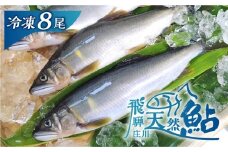 白川村産 飛騨庄川の天然鮎 8尾 18cm以上 鮎 天然 あゆ 魚 岐阜県 白川郷 世界遺産 塩焼き BBQ 20000円  [S511_8bi]