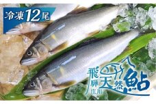 白川村産 飛騨庄川の天然鮎 12尾 18cm以上 鮎 天然 あゆ 魚 岐阜県 白川郷 世界遺産 塩焼き BBQ 30000円  [S512_12bi]