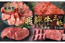 【まるごと定期便】 飛騨牛三昧 全12回  お届け 肉 定期便 飛騨牛 三昧 全 12回 お届け 肉 定期便 12か月 肉づくし ローススライス 白川郷 焼肉用 もも肉 切り落とし サーロイン ステーキ しゃぶしゃぶ すき焼き 300000円 30万円 国産 牛 焼肉 カルビ（ バラ 肉 ）A4 A5 ロース ヒレ ステーキ 肩ロース 焼肉 赤身 霜降り 食べ比べ 岐阜県 白川村 [S524]  