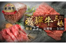 【まるごと定期便】飛騨牛三昧 総量 2.7kg 全3回 お届け 定期便 [S525]  