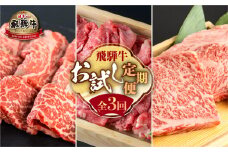 《定期便3回》飛騨牛 お試し定期便 お届け 肉づくし 白川郷 焼肉用 もも肉 切り落とし サーロイン ステーキ しゃぶしゃぶ すき焼き 食べ比べ 40000円 4万円 国産 黒毛和牛 牛 牛肉 焼肉 A4 赤身 霜降り 岐阜県 白川村 JAひだ [S484]