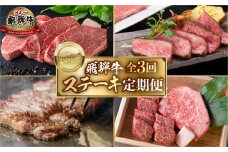 《定期便3回》飛騨牛 ステーキ定期便 プレミアム 豪華 焼肉 ヒレ 赤身 霜降り 牛肉 おすすめ 人気 ヒレ サーロイン  [S485]