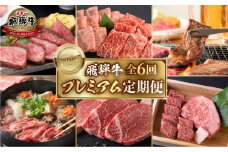 《定期便6回》飛騨牛 特選 プレミアム 定期便 豪華 焼肉 ヒレ 赤身 霜降り 牛肉 おすすめ 人気 ヒレ サーロイン 16万 160000円  [S489]