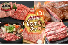 《定期便5回》飛騨牛 バラエティ定期便 牛肉 肉 赤身 霜降り もも ステーキ 食べ比べ 切り落とし すき焼き しゃぶしゃぶ サーロイン [S487]