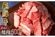 訳あり 飛騨牛 焼肉 切落し 600g 切り落とし 部位お任せ 肉 牛肉 お肉 和牛 冷凍 岐阜県 等級 お任せ BBQ 国産 不揃い ブランド牛 17000円 [S540]