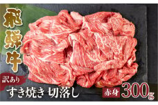 訳あり 飛騨牛 すき焼き用 切落し 300g 切り落とし すき焼き 赤身 肉 牛肉 お肉 和牛 冷凍 岐阜県 部位お任せ 形 不揃い 国産 ブランド牛 10000円 [S542]