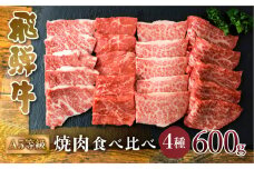 A5等級 飛騨牛 焼肉 4種 食べ比べセット 計600g 赤身 霜降赤身 カルビ 霜降り肉 部位 肉 牛肉 お肉 和牛 冷凍 岐阜県 国産 ブランド牛 鍋 グルメ お取り寄せ 化粧箱入り 27000円 [S549]