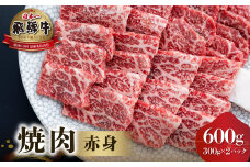 飛騨牛 赤身 焼肉用 600g (300g×2）[S551]