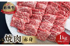 飛騨牛 赤身 焼肉用 1kg （ 500g × 2 ） [S553]