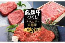 飛騨牛 定期便 3回お届け ステーキ 焼肉 赤身 霜降り すき焼き 牛肉 肉 和牛 国産 黒毛和牛 もも 肩ロース A4 以上 冷凍  [S572]