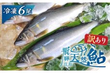訳あり 白川村産 飛騨庄川の天然鮎 6尾 [S594]