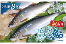 訳あり 白川村産 飛騨庄川の天然鮎 8尾 [S595]