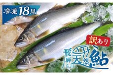 訳あり 白川村産 飛騨庄川の天然鮎 18尾  [S597]