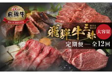 《まるごと定期便》12回 飛騨牛三昧 大容量 お届け  肉 牛肉 すき焼き ステーキ 切り落とし 焼肉 バラエティ 定期便 50万 500000円 [S600]