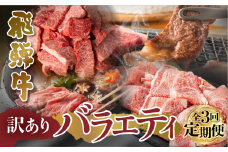 【 定期便 】 訳あり 飛騨牛 バラエティ 3回 計1.9kg [S608]