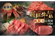 《 まるごと 定期便 》6回 偶数月 厳選 お届け 飛騨牛 三昧 肉 牛肉 すき焼き ステーキ 切り落とし 焼肉 バラエティ 肉 定期便 120000円 12万 [S632]