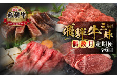 《 まるごと 定期便 》6回 偶数月 厳選 お届け 飛騨牛 三昧 肉 牛肉 すき焼き ステーキ 切り落とし 焼肉 バラエティ 肉 定期便 120000円 12万 [S632]