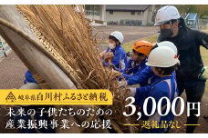 《返礼品なし》岐阜県白川村への寄附 応援寄附金 世界遺産 白川郷 三千円 寄付 子どもたちの未来のための産業振興 寄付金 飛騨 合掌造り [S640]