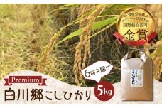 《先行予約》定期便 6回 令和7年産 新米 白川郷 戸ヶ野のこしひかりプレミアム 5kg 6回お届け お米 大田ファーム 96000円 [S441]