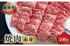 飛騨牛 赤身 焼肉用 500g [S552]