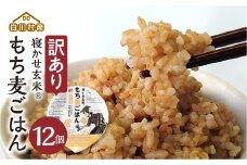 訳あり 白川村産 寝かせ玄米もち麦ごはん 12個[S740]