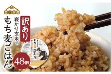 訳あり 白川村産 寝かせ玄米もち麦ごはん 48個[S782]